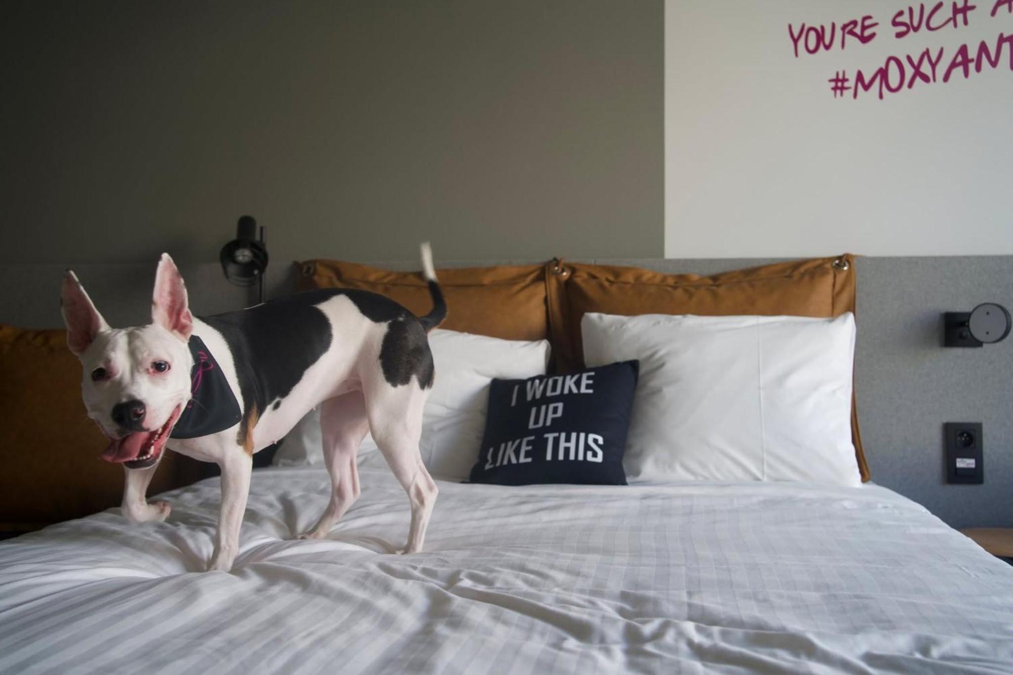 Moxy Antwerp Hotel Екстериор снимка